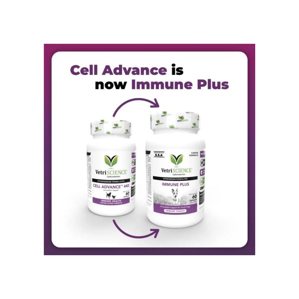 VetriScience Immune Plus Immunity Support for Dogs Supply