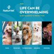 NaturVet Calming Aid Online Sale