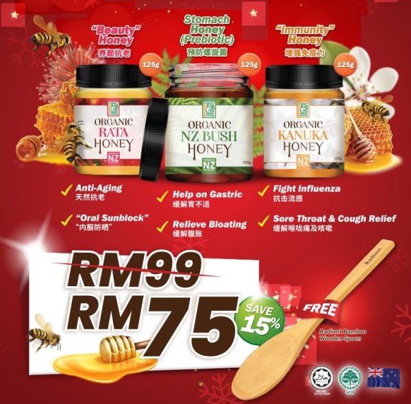 Set of 3 mini honey + wooden spoon Hot on Sale