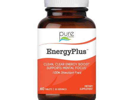 EnergyPlus™ Hot on Sale