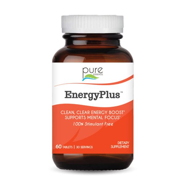 EnergyPlus™ Hot on Sale