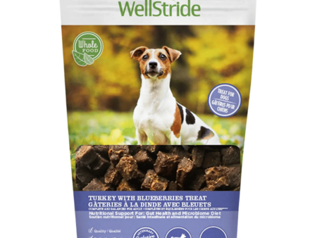 WellStride Turkey with Blueberries Treats For Dogs For Cheap