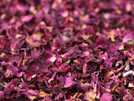 rose petals - 616 Online Sale