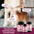 Kala Health VITALMIX® (Multivitamins) Full Spectrum Multivitamins Supplements for Dogs and Cats on Sale