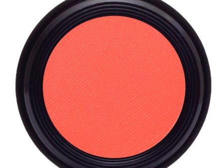 Light Coral Powder Blush For Cheap