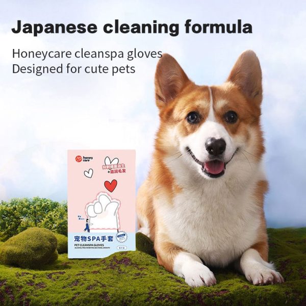 Honeycare Pet SPA Cleansing Glove for Pets Online