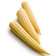 Baby Corn Supply