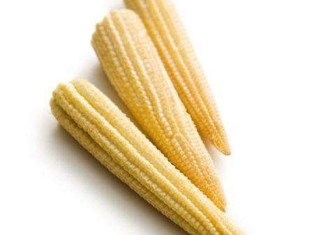 Baby Corn Supply