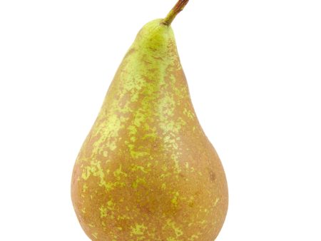 Best Pear Conference Hot on Sale