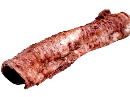 Beef Trachea - Freeze Dried Online