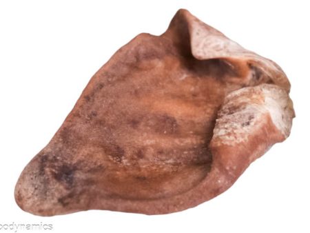 Pig Ear - Freeze Dried Discount