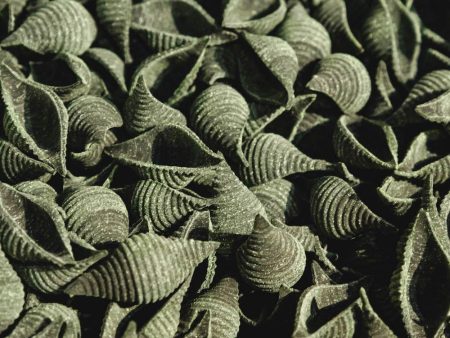 spirulina pasta shells org - 250 Discount