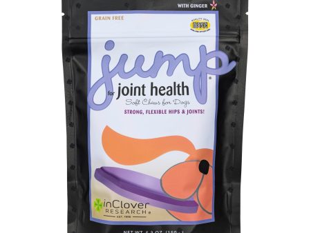 In Clover Jump for Dogs For Cheap