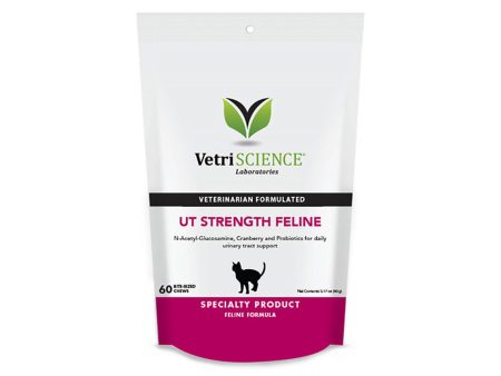 VetriScience UT Strength Feline Supplement Hot on Sale