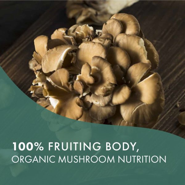 MyPure™ Maitake For Sale