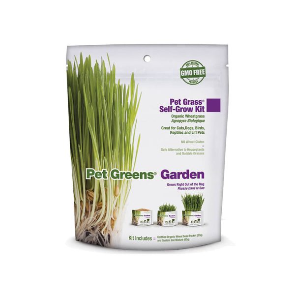 Bell Rock Growers Pet Greens Garden Cheap